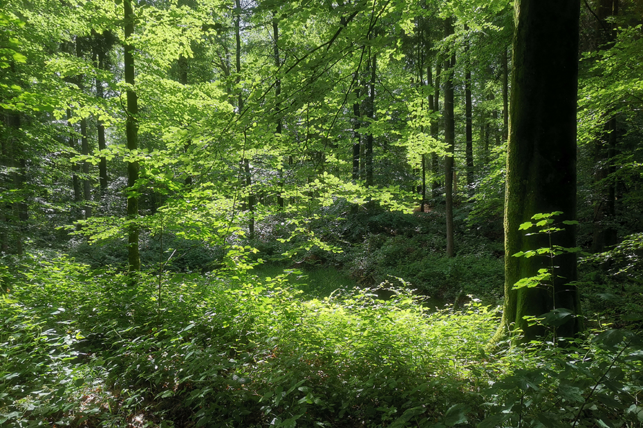 Meditation, Meditationskissen